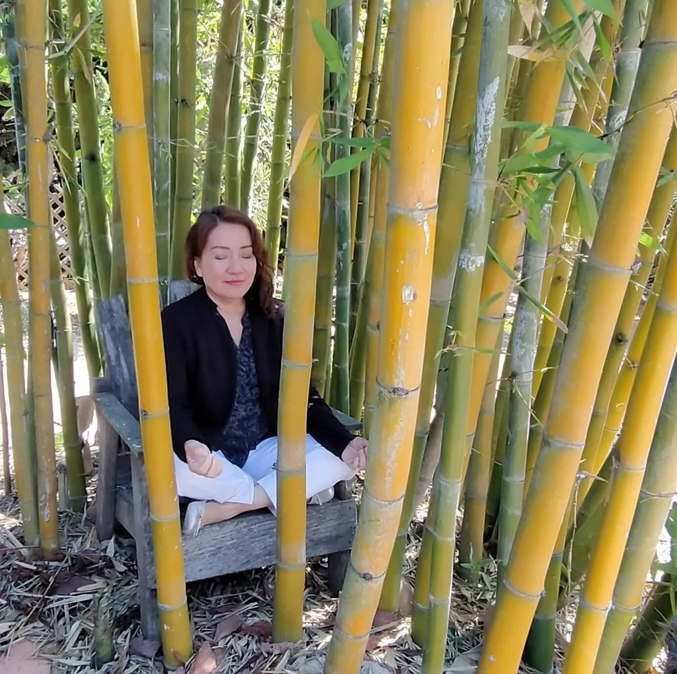 Joy Limcangco meditating among bamboo